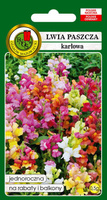 Dwarf lion's mouth mix 0.5g (Antirrhinum pumilum)