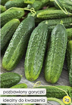 Ogórek gruntowy konserwowy ALICE F1 mieszaniec 2g (Cucumis sativus)