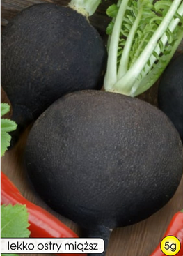 Black Radish MURZYNKA-MURZYNKA OŻA 5g (Raphanus sativus var. niger)