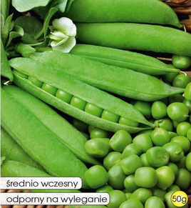 Green Pea NEFRYT 50g (Pisum sativum)