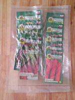 Large vegetable seed kit for Preppers - SEED BANK
