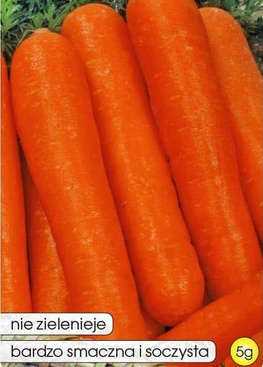 Edible carrot NAOMI 5g (Daucus carota)