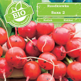 SAXA 2 Radish 5g BIO (Raphanus sativus var. sativus)