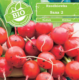 SAXA 2 Radish 5g BIO (Raphanus sativus var. sativus)