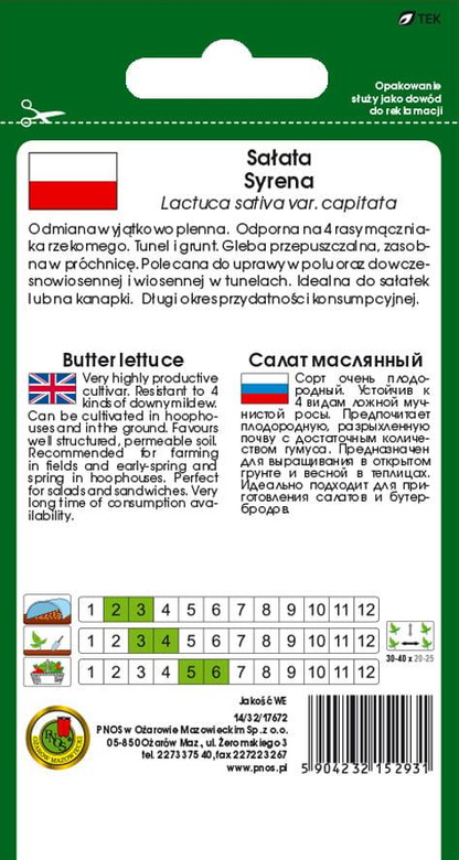Butterhead lettuce SYRENA 1g (Lactuca sativa var. capitata)