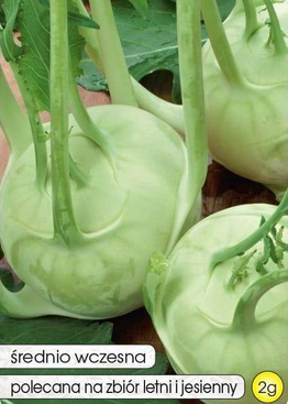 White Delikates cauliflower 2g (Brassica oleracea var. gongylodes)