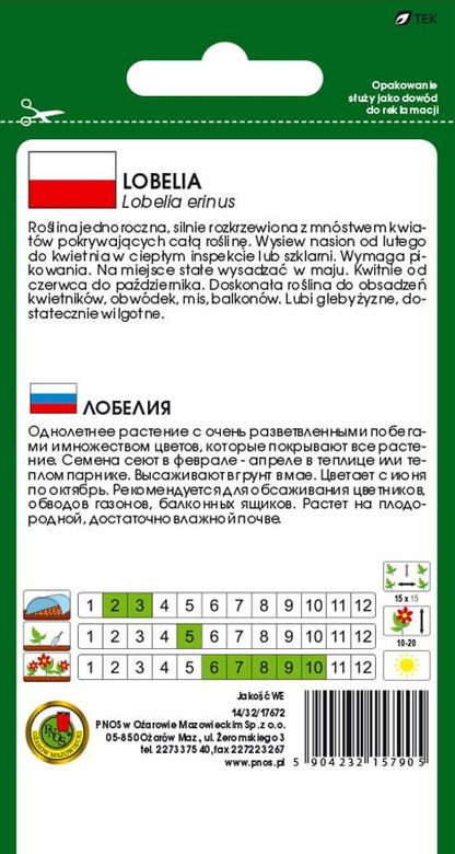 Lobelia MIDNIGHT BLUE purple 0.2g (Lobelia erinus)