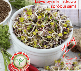 Black Mustard Sprouting Seeds 20g