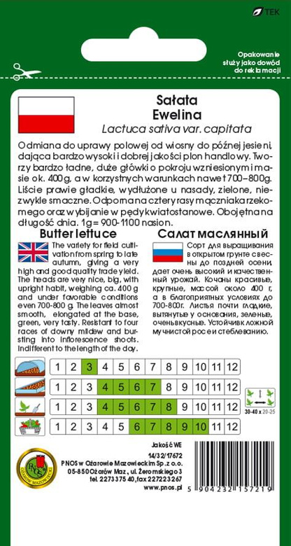Butterhead lettuce EWELINA 1g (Lactuca sativa var.capitata)