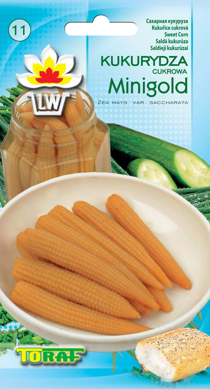 Sugar Corn MINIGOLD 5g (Zea mays var. saccharata)