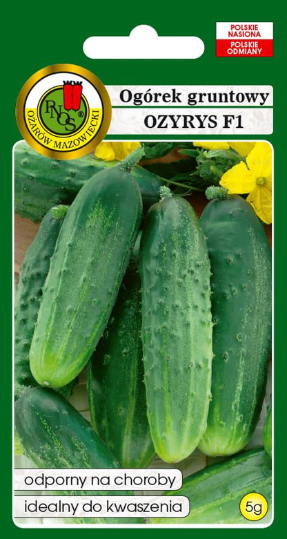 Ogórek gruntowy OZYRYS F1 5g (Cucumis sativus)