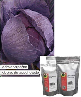 Red cabbage LANGEDIJKER BEWAAR 2 50g (Brassica oleracea convar. capitata var. Rrubra)