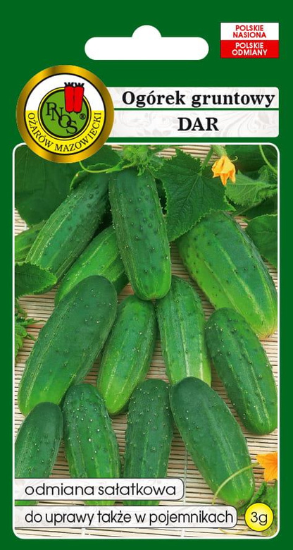 Ogórek gruntowy DAR 3g (Cucumis sativus)