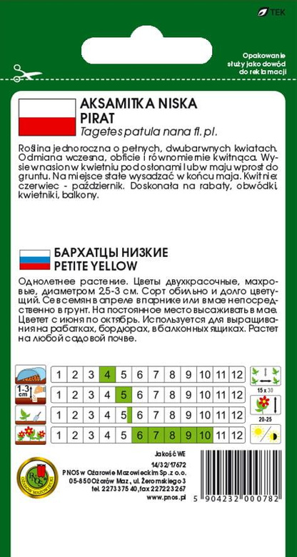 Low-growing PIRATE marigold with honey-mahogany double flowers, 1g (Tagetes patula nana fl. pl.)