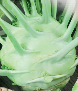 Giant Kohlrabi 2g (Brassica oleracea var. gongylodes)