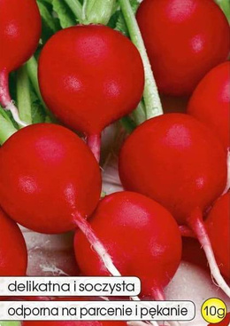 Crimson Radish 10g (Raphanus sativus var. sativus)