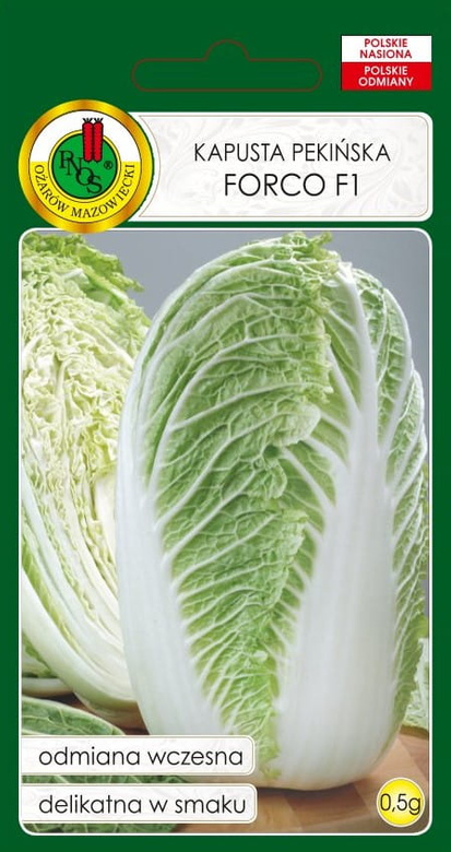 Kapusta pekińska FORCO F1 0,5g (Brassica rapa)