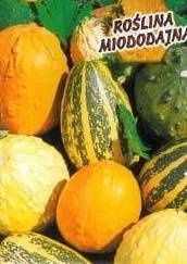 Dynia ozdobna mix 2g (Cucurbita pepo)