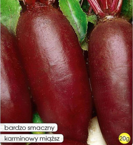 Opole Beetroot 20g (Beta vulgaris)