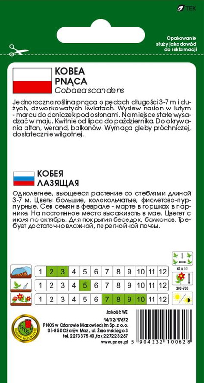 Kobea pnąca niebieska 0,5g (Cobaea scandens)