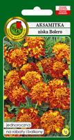 Aksamitka pełna niska BOLERO miodowo-mahoniowa 1g (Tagetes patula nana fl. pl.)