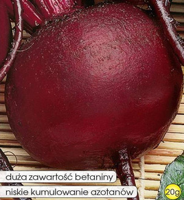 Burak ćwikłowy OKRĄGŁY CIEMNOCZERWONY 20g (Beta vulgaris)