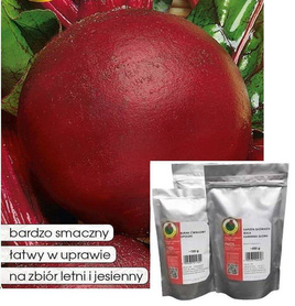 Red Beetroot BALL 2 - RED BALL REW 100g (Beta vulgaris)