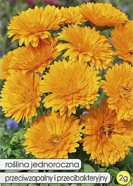 2g of Common Marigold (Calendula officinalis)