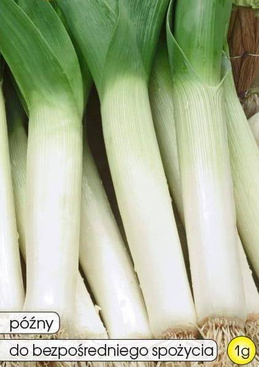 For TANGO 1g (Allium porrum)