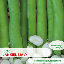 Bób ogrodowy JANKIEL BIAŁY 50g (Vicia faba)