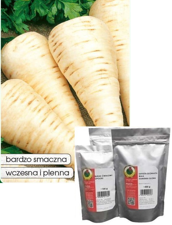 Horse Parsley Root 100g (Petroselinum crispum convar. radicosum)