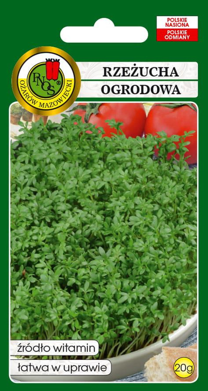 Rzeżucha ogrodowa 20g (Lepidium sativum)