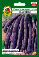 Purple pole bean BLAUHILDE 10g (Phaseolus vulgaris)