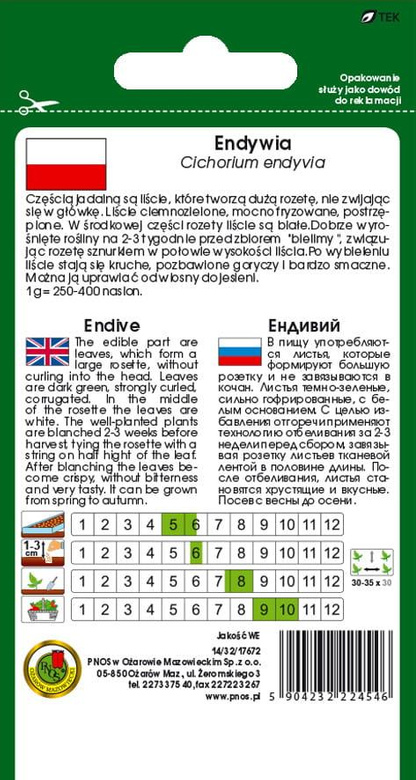 Endywia kędzierzawa DE MEAUX 0,5g (Cichorium endivia)