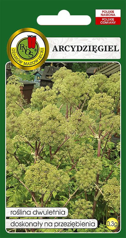 Angelica archangelica (Archangelica officinalis) 0.3g