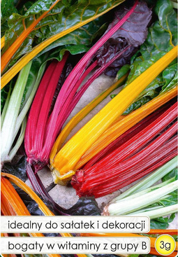 Swiss Chard BRIGHT LIGHTS 3g (Beta vulgaris sub. cicia)