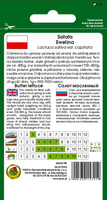 Sałata głowiasta masłowa EWELINA 1g (Lactuca sativa var.capitata)