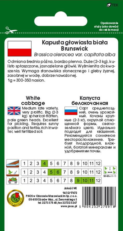 Kapusta głowiasta biała BRUNSWICK 2g (Brassica oleracea var. capitata alba)