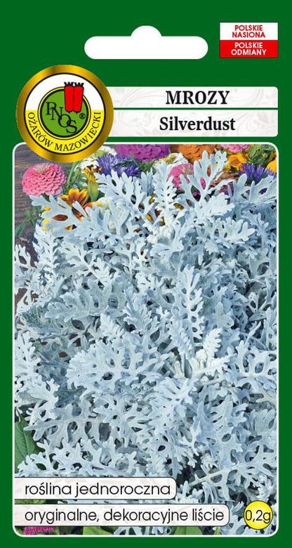 Mrozy SILVERDUST 0,2g (Cineraria maritima)