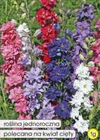 Common Larkspur mix 1g (Delphinium consolida)