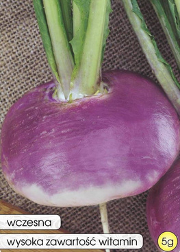 DI MILANO TURNIP WITH PURPLE COLLAR 5g (Brassica rapa)