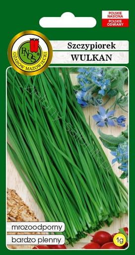 Chives WULKAN 1g (Allium schoenoprasum)