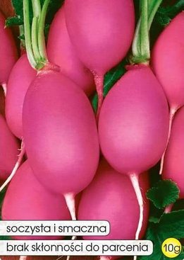 Radish JUTRZENKA 10g (Raphanus sativus var. sativus)