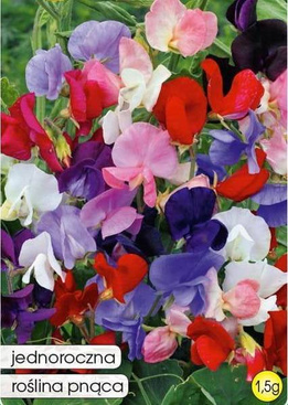 Groszek pachnący mix 1,5g (Lathyrus odoratus)