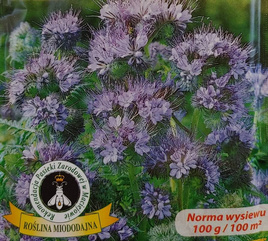 Blue Phacelia 50g (Phacelia tanacetifolia)