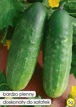 Ogórek gruntowy DELICIUS 5g (Cucumis sativus)