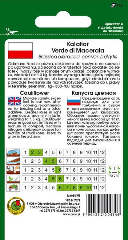 Cauliflower VERDE DI MACERATA 0.2g (Brassica oleracea convar. botrytis)