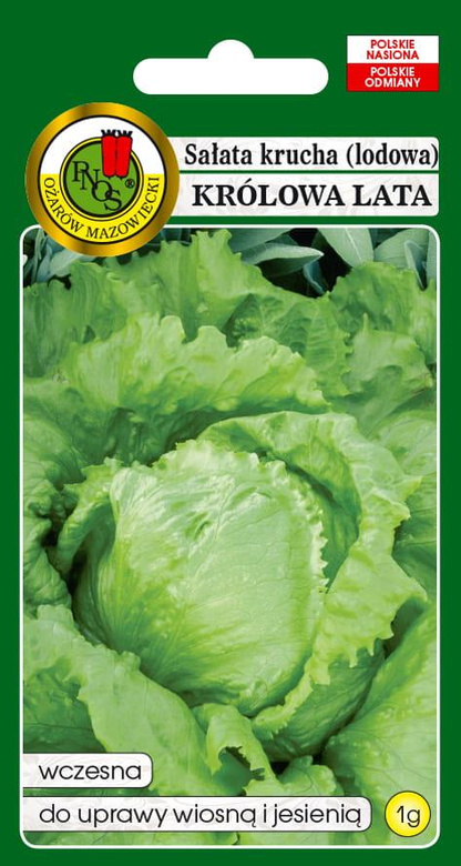 Crisphead lettuce QUEEN OF SUMMER 1g (Lactuca sativa var. capitata)