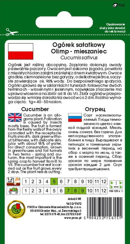 OLIMP F1 Ground Cucumber 5g (Cucumis sativus)