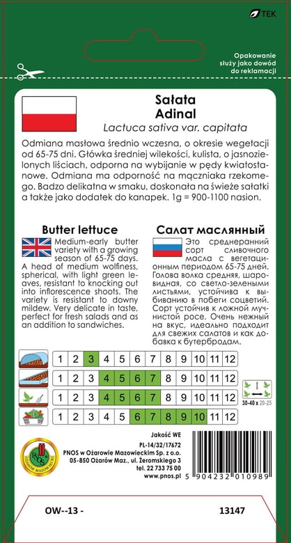 Butterhead lettuce ADINAL 1g (Lactuca sativa var.capitata)